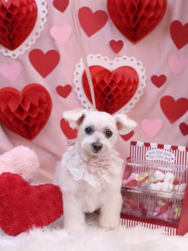 20240224ヒメちゃん